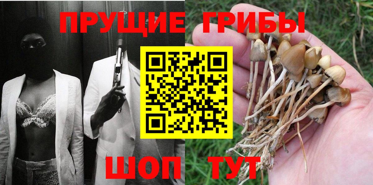 где можно купить   Псилоцибиновые грибы Cubensis  Вход с VPN  Реутов 